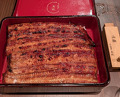 Dinner at Unagi Uomasa (うなぎ 魚政)