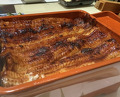 Dinner at Unagi Uomasa (うなぎ 魚政)