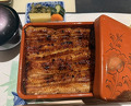 Dinner at Unagi Uomasa (うなぎ 魚政)