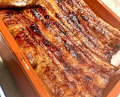 Dinner at Unagi Uomasa (うなぎ 魚政)