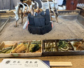 Dinner at Yanagiya (柳家)
