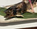 Dinner at Yanagiya Nishiki (柳家錦)