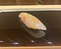 Dinner at Sushi Yuki