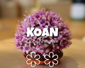 Dinner at koancph