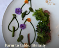 Dinner at Boen Gård