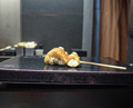 Dinner at 炭焼tori8