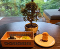 Dinner at The Ritz-Carlton, Nikko