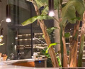 Dinner at Locavore NXT