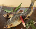 Dinner at Aji Hiro (味ひろ)