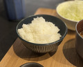 Dinner at Tonkatsu Fujii (とんかつ ふじ井)