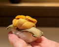 Dinner at Sushi Ikkou (鮨 一幸)