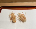 Dinner at Tempura Kondo (てんぷら 近藤)