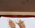 Dinner at Tempura Kondo (てんぷら 近藤)