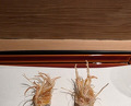 Dinner at Tempura Kondo (てんぷら 近藤)