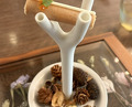 Dinner at LATURE (ラチュレ)