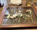 Dinner at LATURE (ラチュレ)