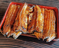 Dinner at Unagi no Matsu Ka (うなぎのまつ嘉)