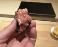 Dinner at Sushi Matsuura (鮨 まつうら)