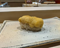 Dinner at Sushi Miyakawa (すし宮川)