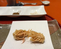 Dinner at Tempura Mokkosu (天ぷら もっこす)