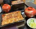 Dinner at Unagi Musashino (鰻 むさし乃)