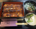 Dinner at Unagi Musashino (鰻 むさし乃)