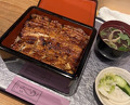 Dinner at Unagi Musashino (鰻 むさし乃)