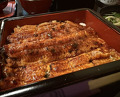 Dinner at Unagi Musashino (鰻 むさし乃)