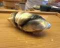 Dinner at Sushi Obana (鮨おばな)
