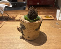 Dinner at RADICE (RADICE)
