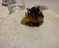 Dinner at Reminiscence