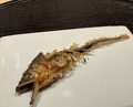 Dinner at Shimbashi Hoshino (新ばし 星野)