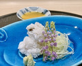 Dinner at Shimbashi Hoshino (新ばし 星野)