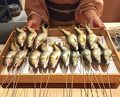 Dinner at Syumokuchou Shimizu