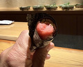 Dinner at Sushi shota (Sapporo)