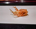 Dinner at Tempura Takeuchi (天ぷら たけうち)