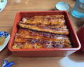 Dinner at Unagi Tei Tomoei (うなぎ亭 友栄)