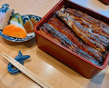Dinner at Unagi Tei Tomoei (うなぎ亭 友栄)