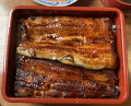 Dinner at Unagi Tei Tomoei (うなぎ亭 友栄)
