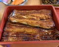Dinner at Unagi Tei Tomoei (うなぎ亭 友栄)