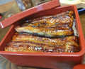 Dinner at Unagi Tei Tomoei (うなぎ亭 友栄)
