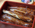 Dinner at Unagi Tei Tomoei (うなぎ亭 友栄)