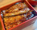 Dinner at Unagi Tei Tomoei (うなぎ亭 友栄)