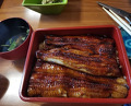 Dinner at Unagi Tei Tomoei (うなぎ亭 友栄)