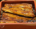 Dinner at Unagi Tei Tomoei (うなぎ亭 友栄)