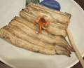 Dinner at Unagi Tei Tomoei (うなぎ亭 友栄)