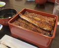 Dinner at Unagi Tei Tomoei (うなぎ亭 友栄)