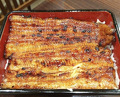 Dinner at Unagi Uomasa (うなぎ 魚政)