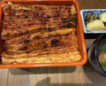 Dinner at Unagi Uomasa (うなぎ 魚政)