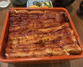Dinner at Unagi Uomasa (うなぎ 魚政)